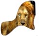 Lion 2