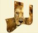 Lion 2