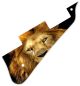 Lion 2
