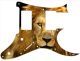 Lion 2