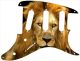 Lion 2