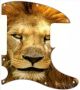 Lion 2 - Avril Lavigne Tele