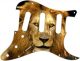 Lion 2