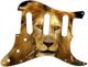 Lion 2