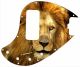 Lion 2