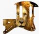 Lion 2
