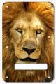Lion 2