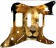 Lion 2