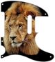 Lion - Vintera '50s Tele