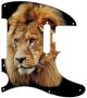 Lion - American Elite Tele