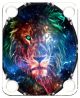 Lion Galaxy