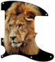 Lion - Avril Lavigne Tele