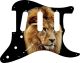 Lion - Vintera '60s Strat