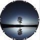 Lone Tree