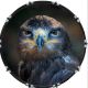 Majestic Eagle 1