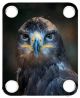 Majestic Eagle 1