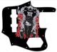 Masked Assassin