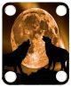 Mojo Moon 1