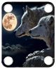 Mojo Moon 3