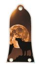 Mojo Moon