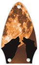 Mojo Moon
