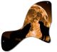 Mojo Moon