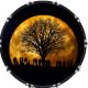 Moon Gathering