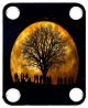Moon Gathering
