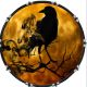 Moon Raven