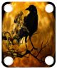 Moon Raven