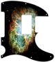 Nebula 1