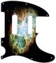 Nebula 1