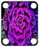 Neon Rose