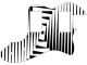 Offset Black & White - Vintera '70s Tele Thinline