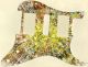 Paint Splatter 1 - HSH 11 Hole Strat