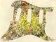 Paint Splatter 1 - Vintera '70s Strat