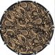 Paisley BK/CR