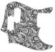 Paisley Black/White