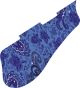 Paisley Blue