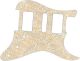 Paisley Cream/Cream