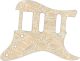 Paisley Cream/Cream