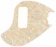 Paisley Cream/Cream
