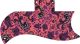 Paisley Salmon
