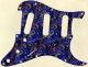 Paisley Tie 2 - Vintera '70s Strat