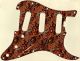 Paisley Tie 3 - SSS Elite Strat