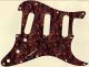 Paisley Tie 5 - Vintera '60s Strat