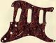 Paisley Tie 5 - Vintera '50s Strat