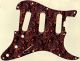 Paisley Tie 5 - SSS Elite Strat
