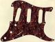 Paisley Tie 5 - Vintera '70s Strat