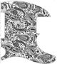 Paisley White/Black